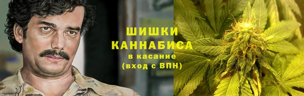 PSILOCYBIN Баксан