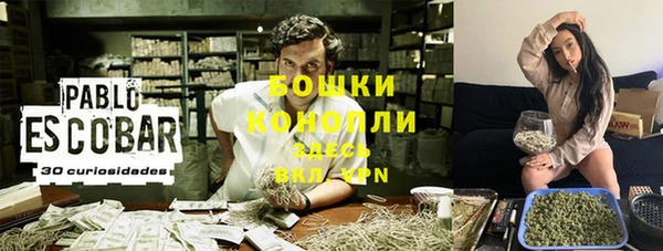 PSILOCYBIN Баксан