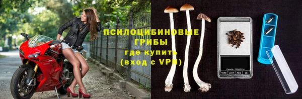 PSILOCYBIN Баксан