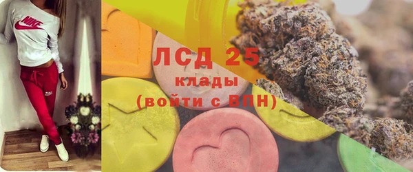PSILOCYBIN Баксан