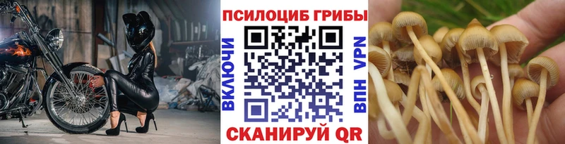 Псилоцибиновые грибы ЛСД  Лермонтов 